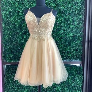 Champagene/Gold, Embellished Dress